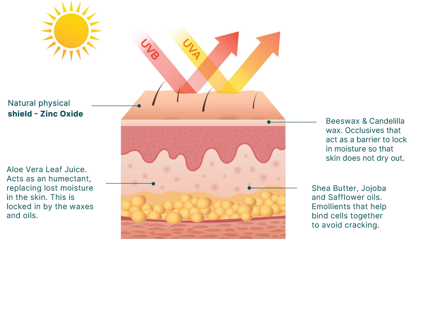 50 SPF Zinc Sunscreen