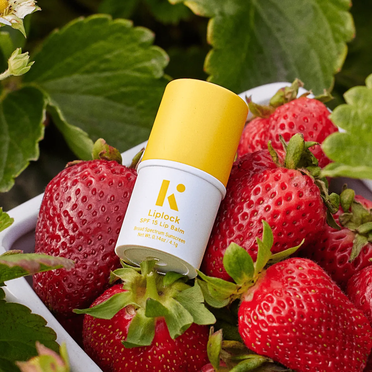 Liplock SPF 15 Balm