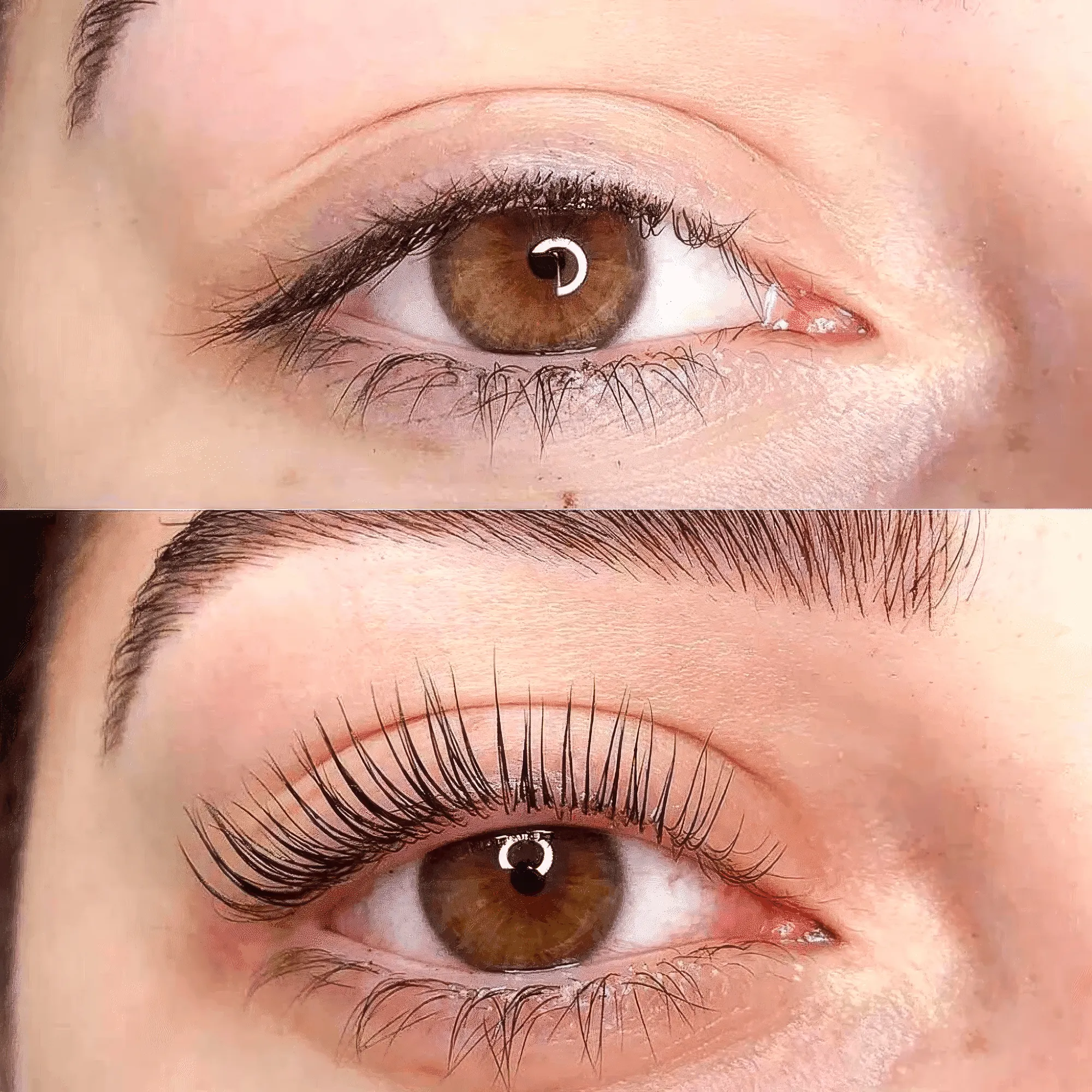 Luxe Lashlift Set .