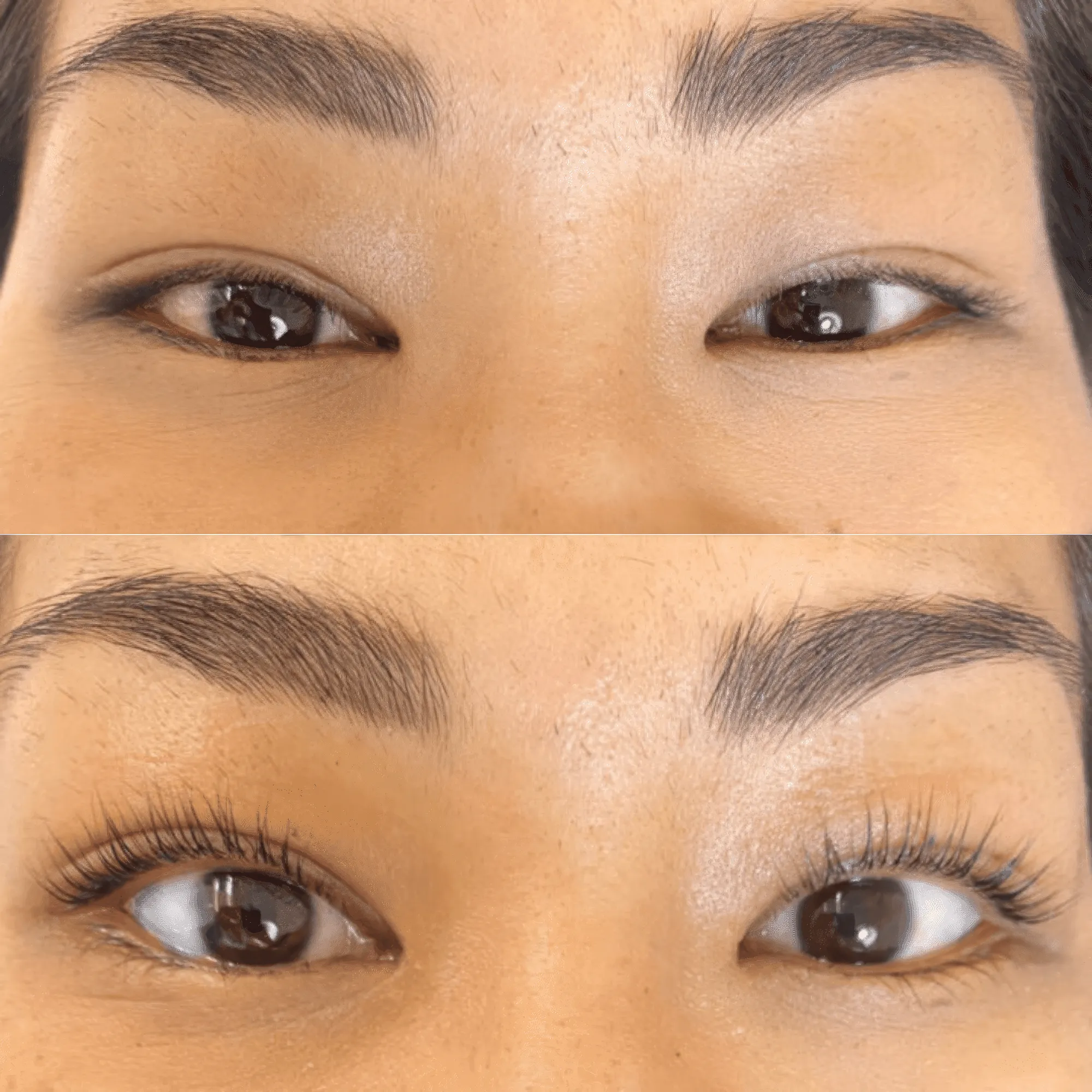 Luxe Lashlift Set .