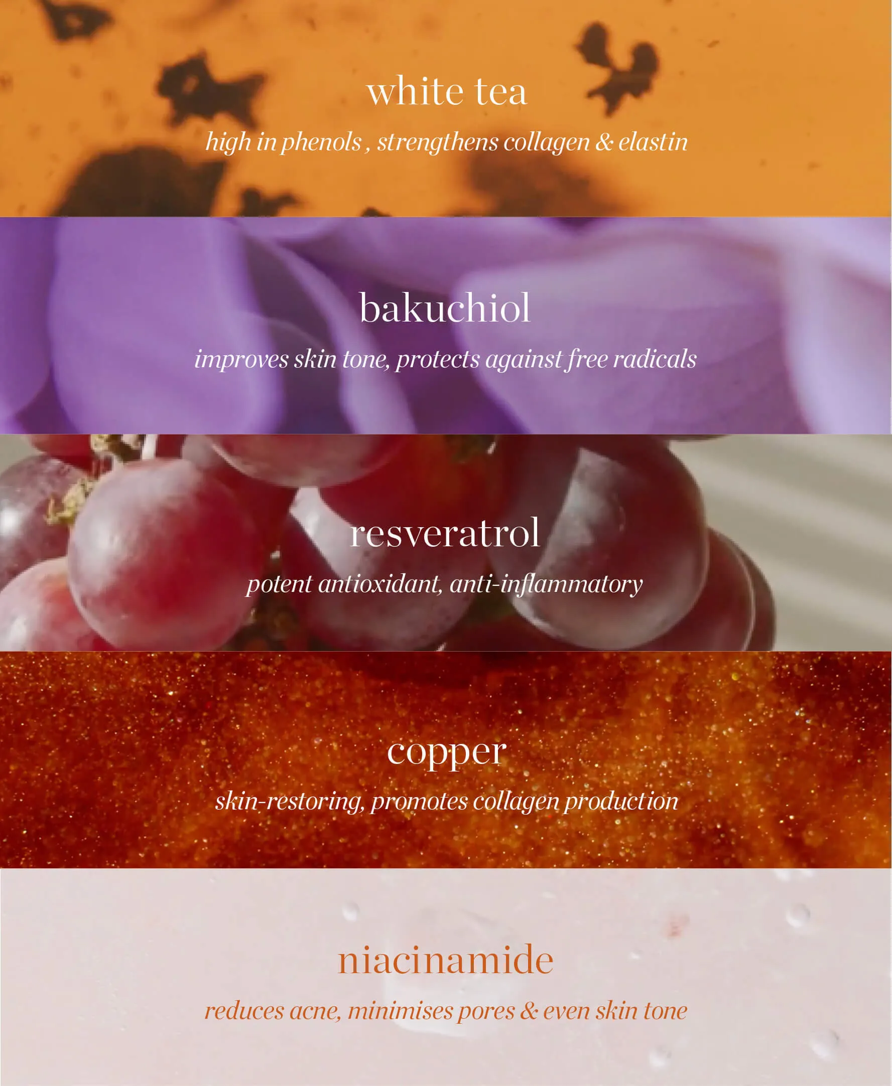 white tea phyto-retinol elixir